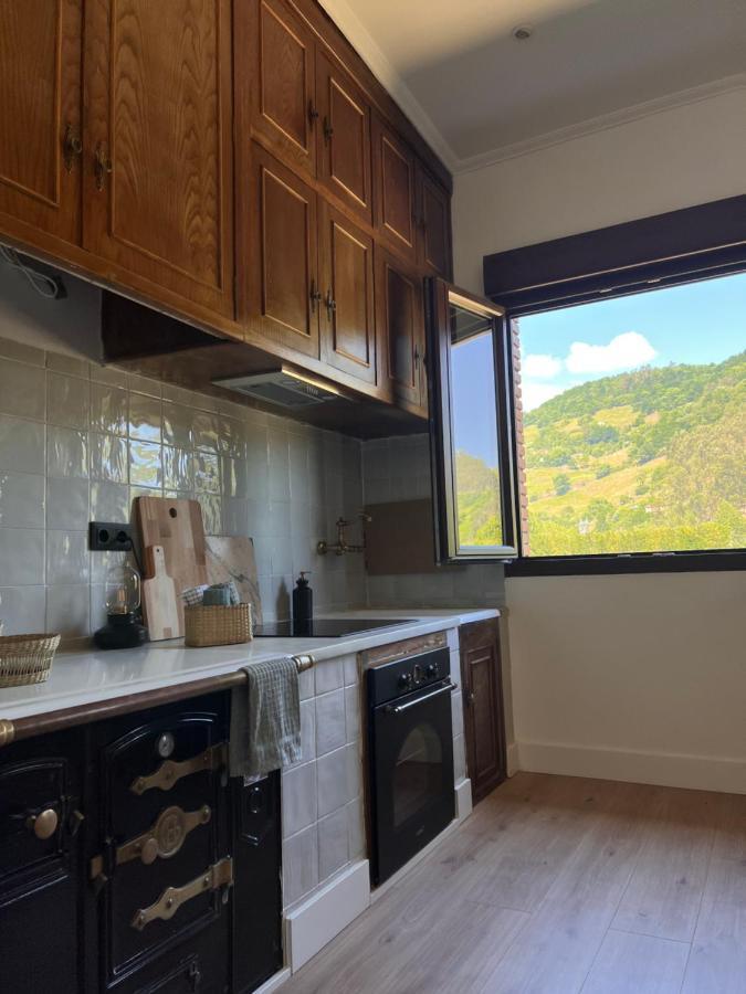 Mountain View Apartment Mieres  Zewnętrze zdjęcie