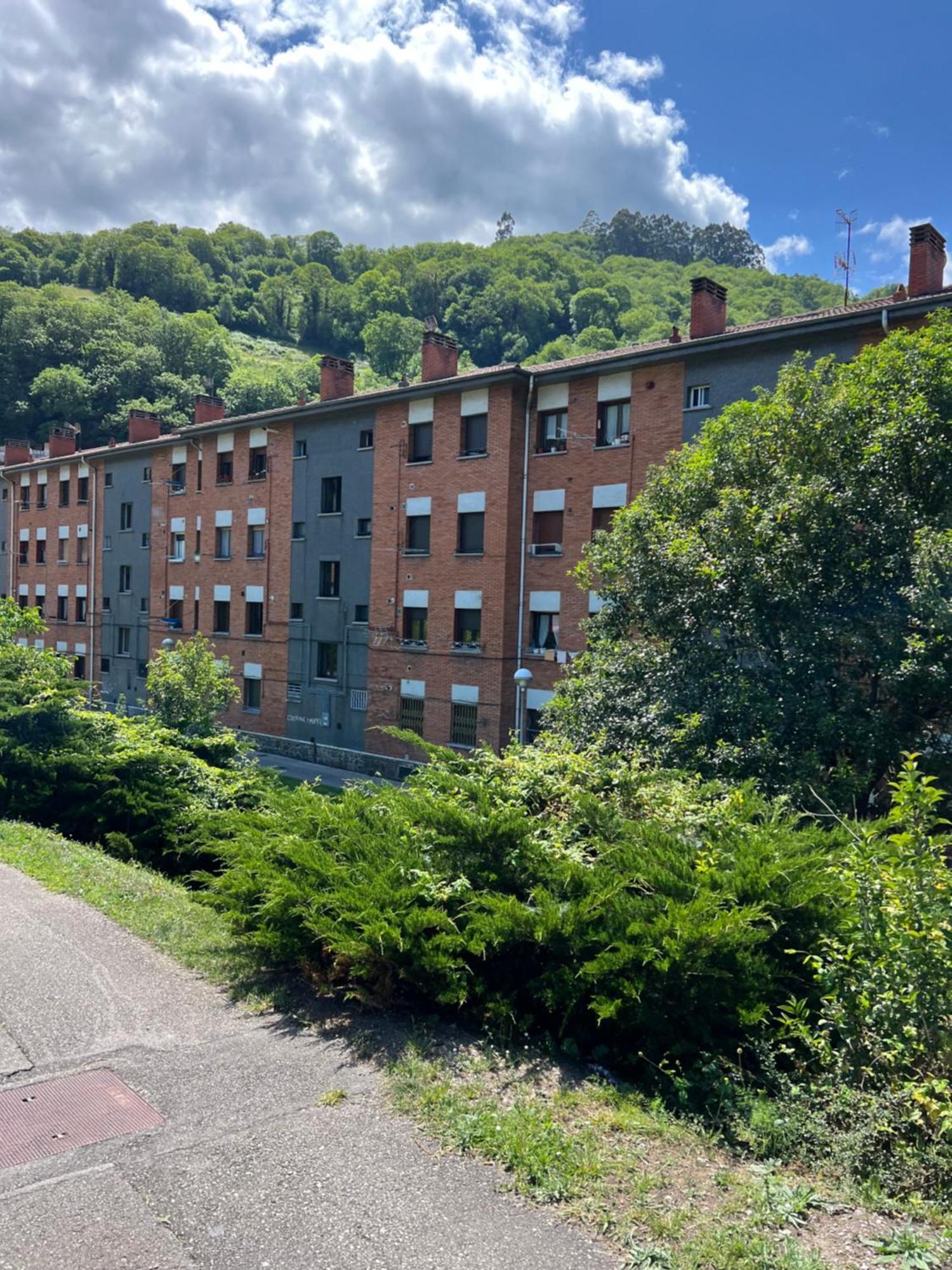 Mountain View Apartment Mieres  Zewnętrze zdjęcie