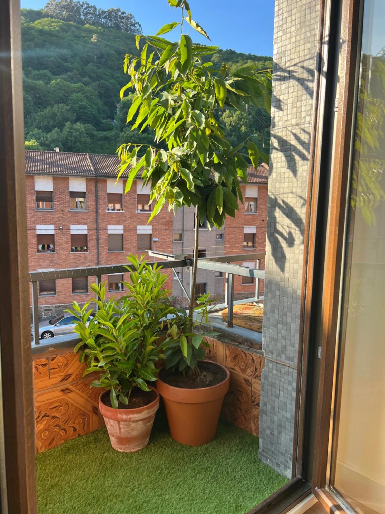 Mountain View Apartment Mieres  Zewnętrze zdjęcie